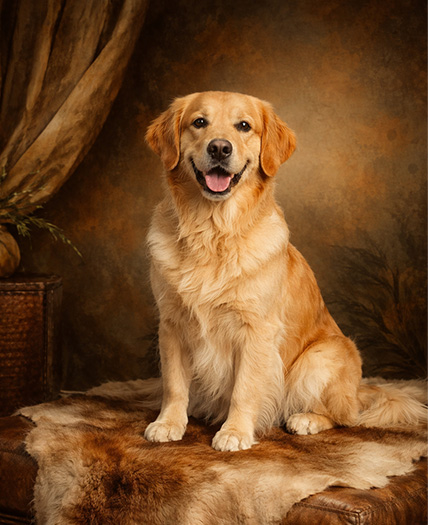 Bushveld vibes style reference